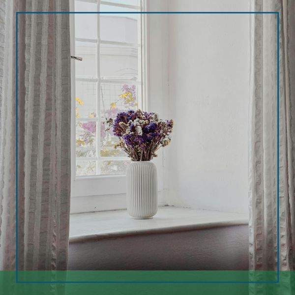 clean window sill with a pot of flowers