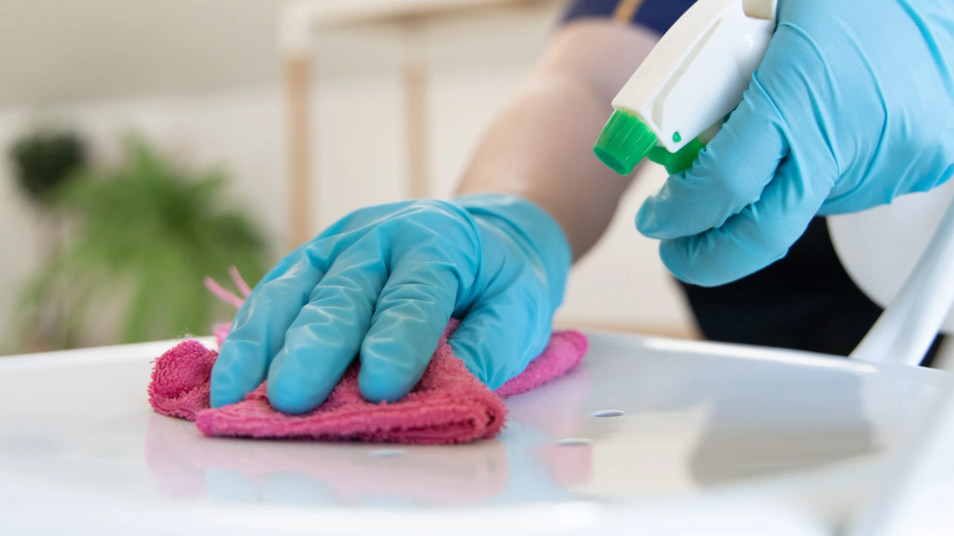 Tidy Cleaning experts during a moving cleaning service