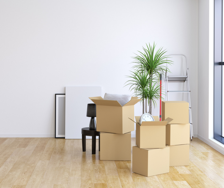 Move-in/Move-out Cleaning